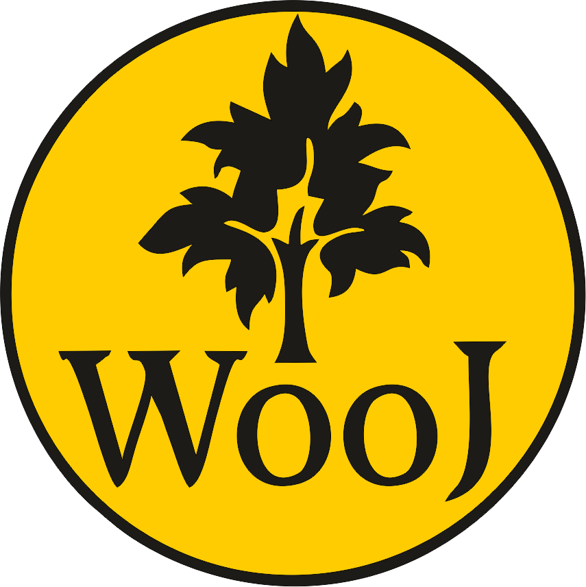 Команда Wooj
