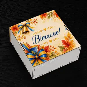 Бокс прямокутний "ВІтаємо!" 20х20х9 см