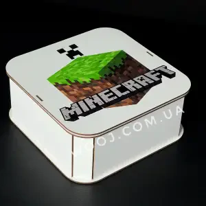 Бокс прямокутний з дизайном "Minecraft" 20х20х8 см