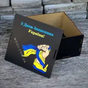 Бокс прямокутний, чорний "Воля" 25х25х10 см