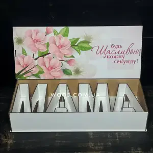Прямокутний бокс МАМА з дизайном №2, білий, 50х21х9 см