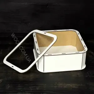 Бокс прямокутний з прозорою кришкою, 20х20х8 см